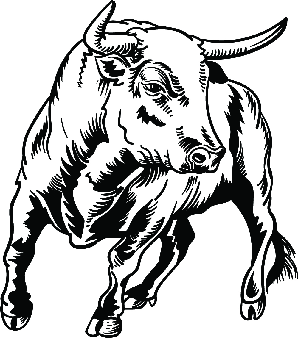 Animal Bull 4r5